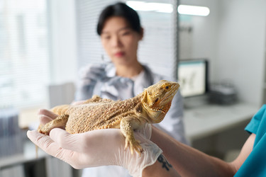 Similar image 22144984