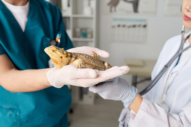 Similar image 22144978