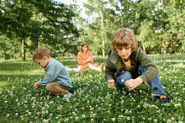 Similar image 22146955