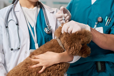 Similar image 22144987