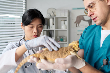 Similar image 22144975