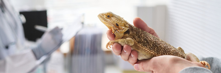 Similar image 22145015