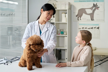 Similar image 22145041