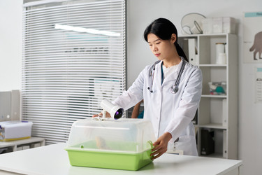 Similar image 22144929