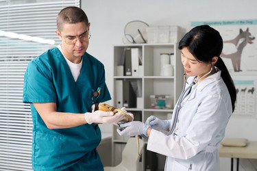 Similar image 22144971