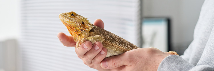 Similar image 22145013