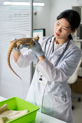 Similar image 22144957