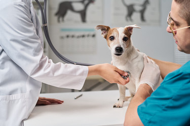 Similar image 22144993