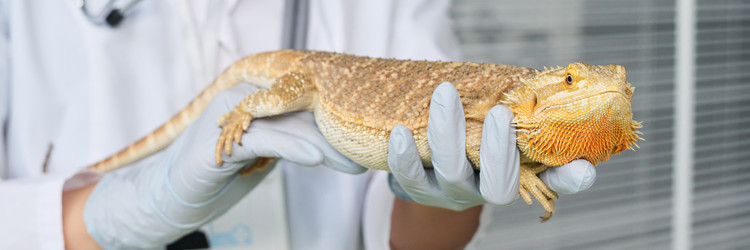 Similar image 22145004