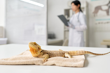 Similar image 22145019