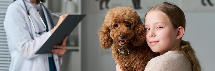 Similar image 22145022