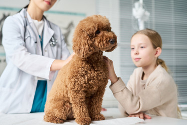 Similar image 22144930