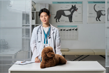 Similar image 22144964