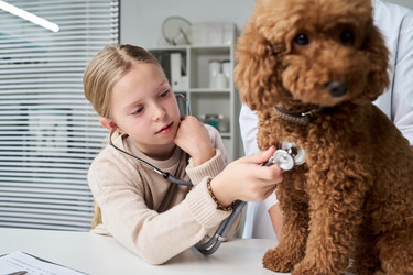 Similar image 22145046