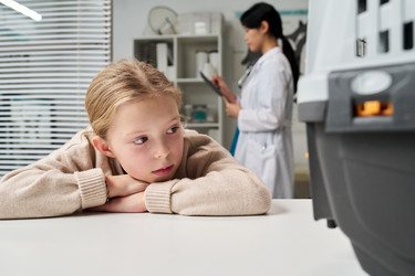 Similar image 22144944