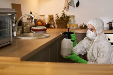 Similar image 22144606