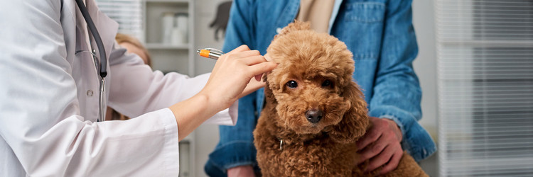 Similar image 22145028