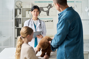 Similar image 22145038