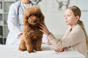 Similar image 22144928