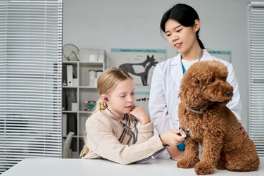 Similar image 22145047