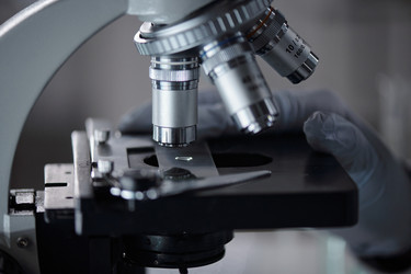 Similar image 22145054