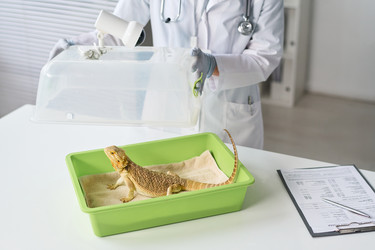 Similar image 22144939