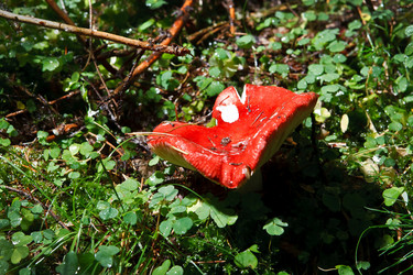 Similar image 22133496