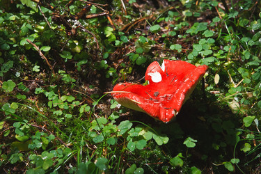 Similar image 22133497