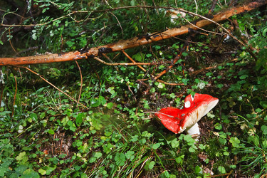 Similar image 22133498