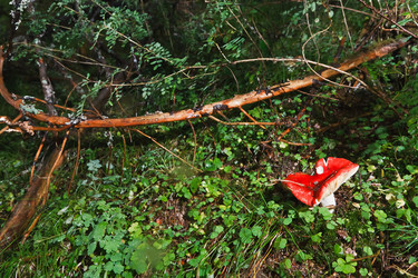 Similar image 22133515