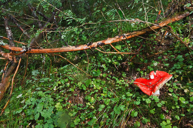 Similar image 22133516