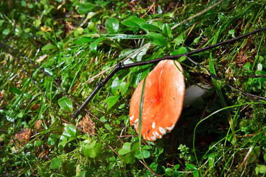 Similar image 22133520