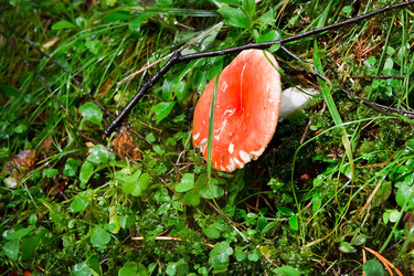 Similar image 22133521