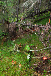 Similar image 22138397