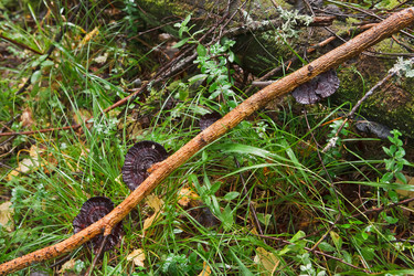 Similar image 22138399