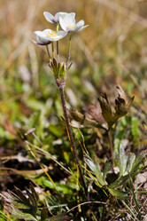 Similar image 22138400