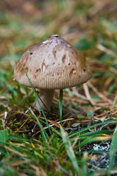 Similar image 22138401