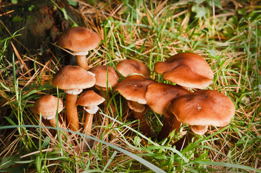 Similar image 22138403