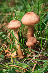 Similar image 22138404