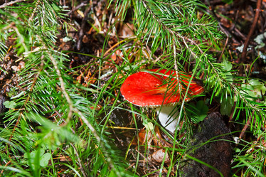 Similar image 22138407