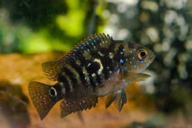 Similar image 22138410