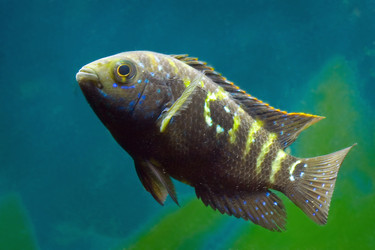 Similar image 22138421