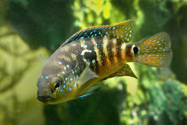 Similar image 22138424