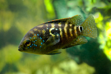 Similar image 22138436