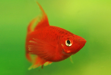 Similar image 22138437