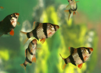 Similar image 22138440