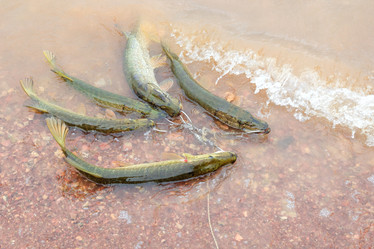 Similar image 22138441