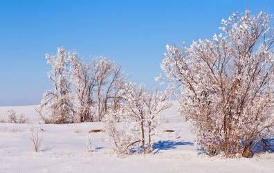 Similar image 22138699