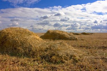 Similar image 22138701