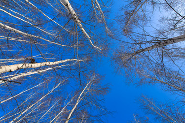 Similar image 22138703